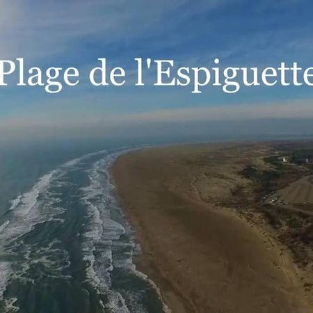 Grand Studio Au Grau-Du-Roi Proche Seaquarium Et Plage Le Grau-du-Roi Kültér fotó