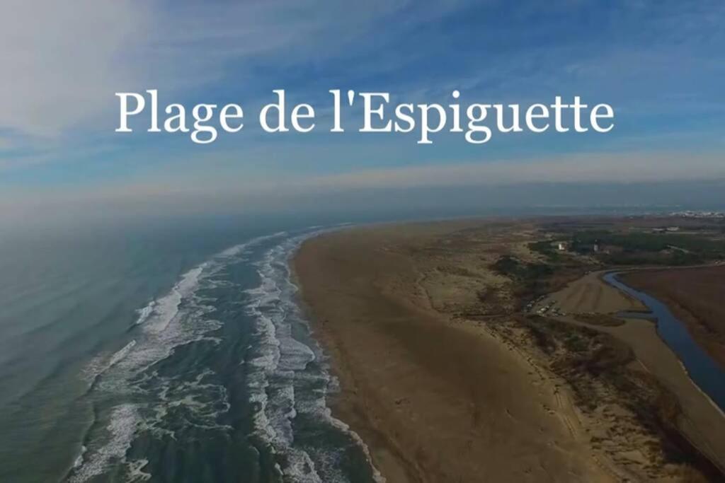 Grand Studio Au Grau-Du-Roi Proche Seaquarium Et Plage Le Grau-du-Roi Kültér fotó